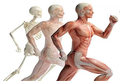 Commitment to Athlete Safety in Martial Arts